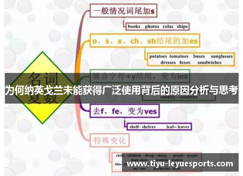 为何纳英戈兰未能获得广泛使用背后的原因分析与思考