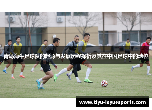 青岛海牛足球队的起源与发展历程探析及其在中国足球中的地位