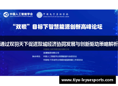 通过双羽天下促进双城经济协同发展与创新驱动策略解析