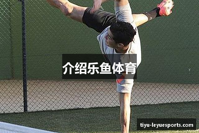 介绍乐鱼体育